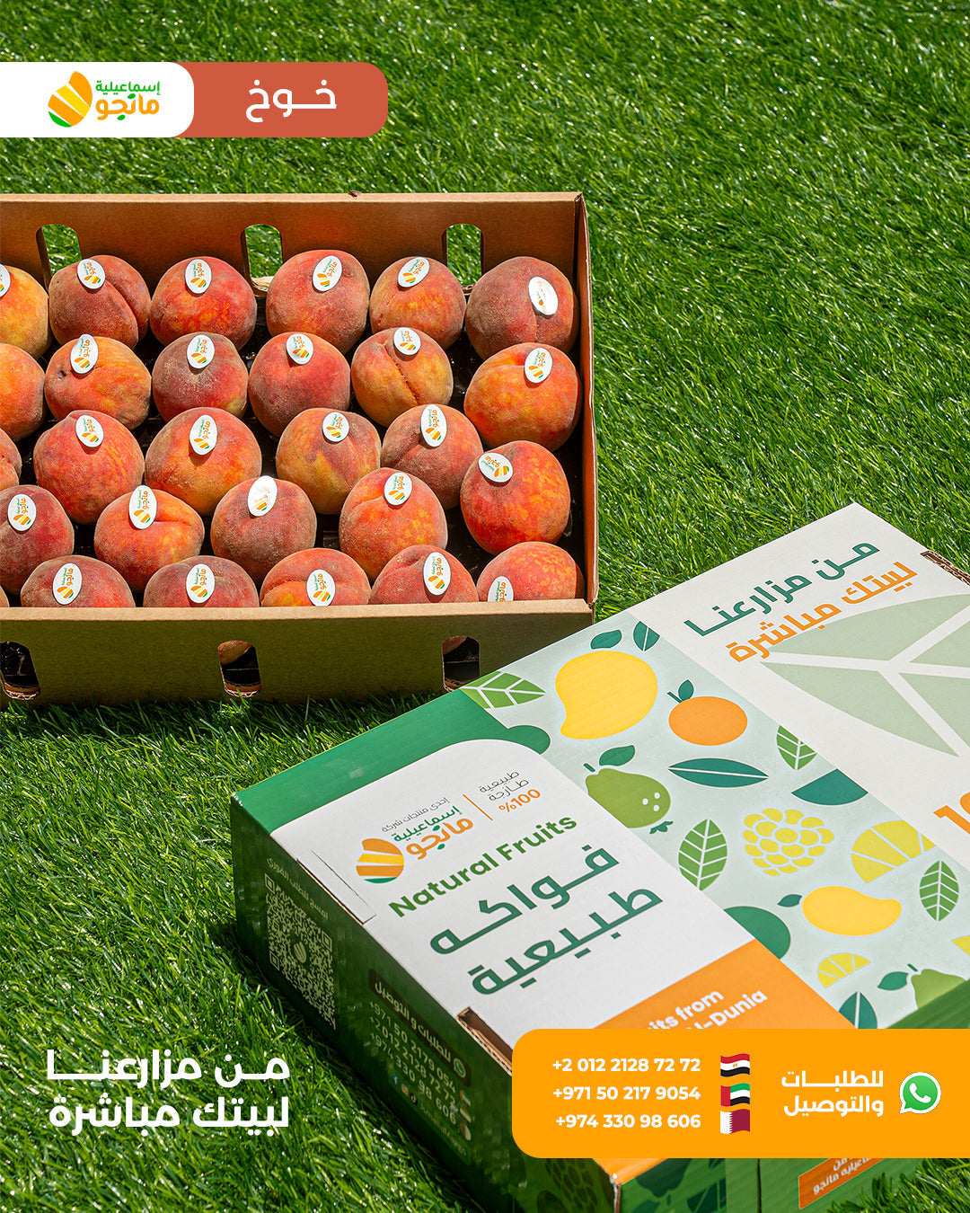 Baladi Peach