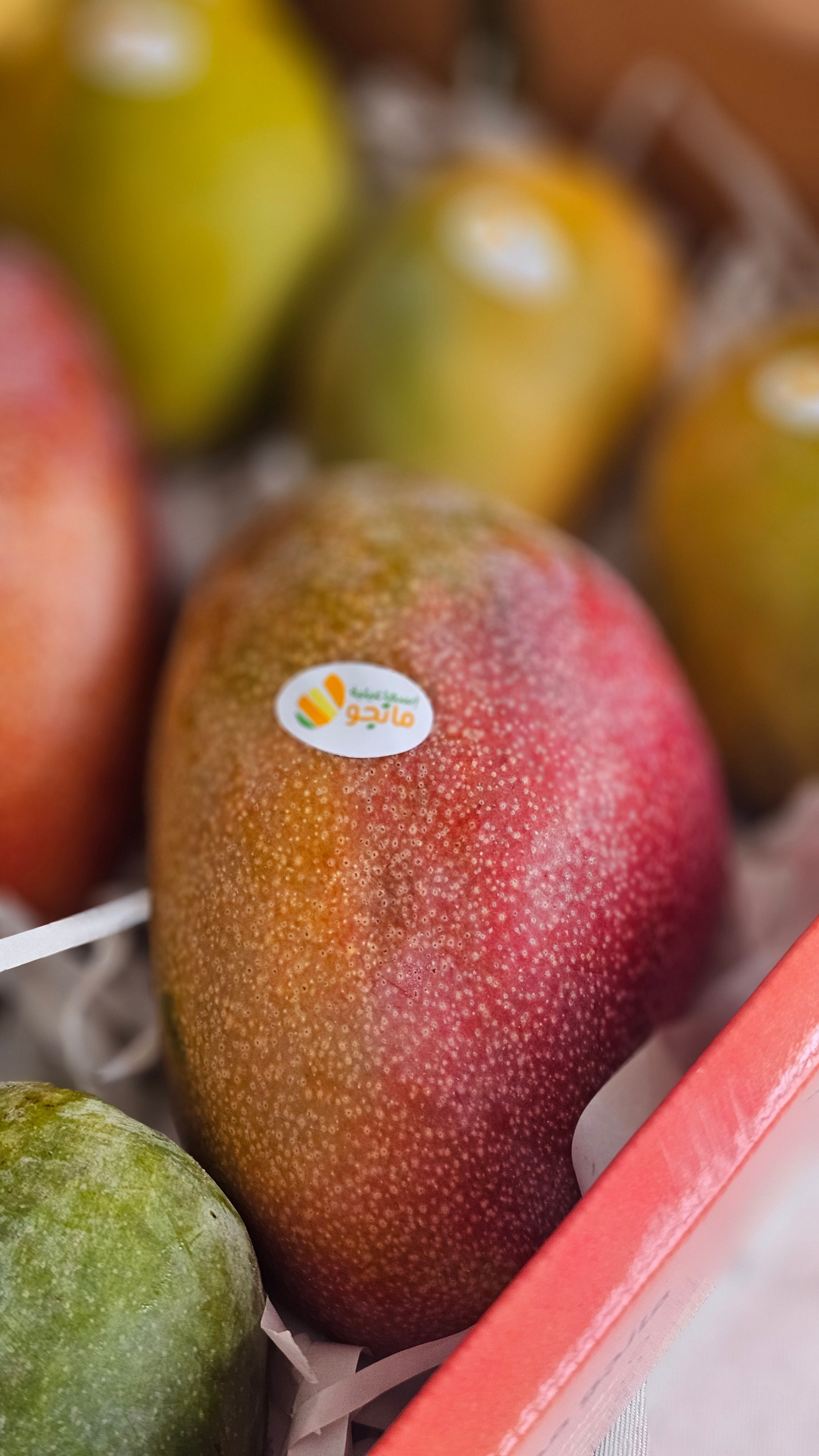 Mango Trio Box