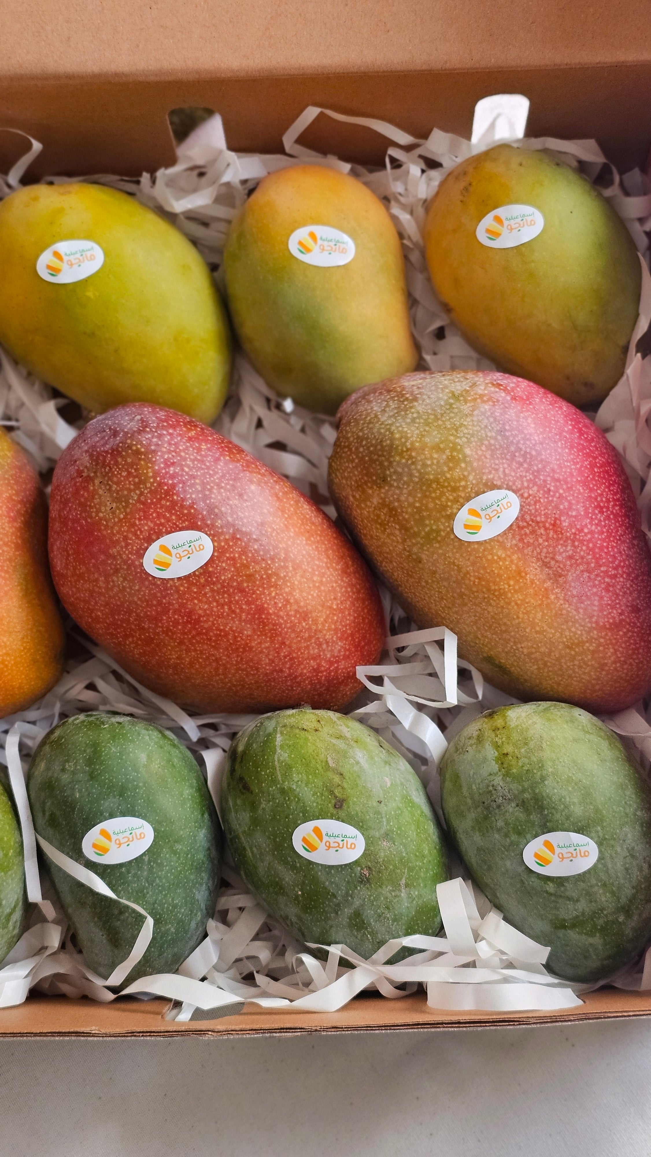 Mango Trio Box