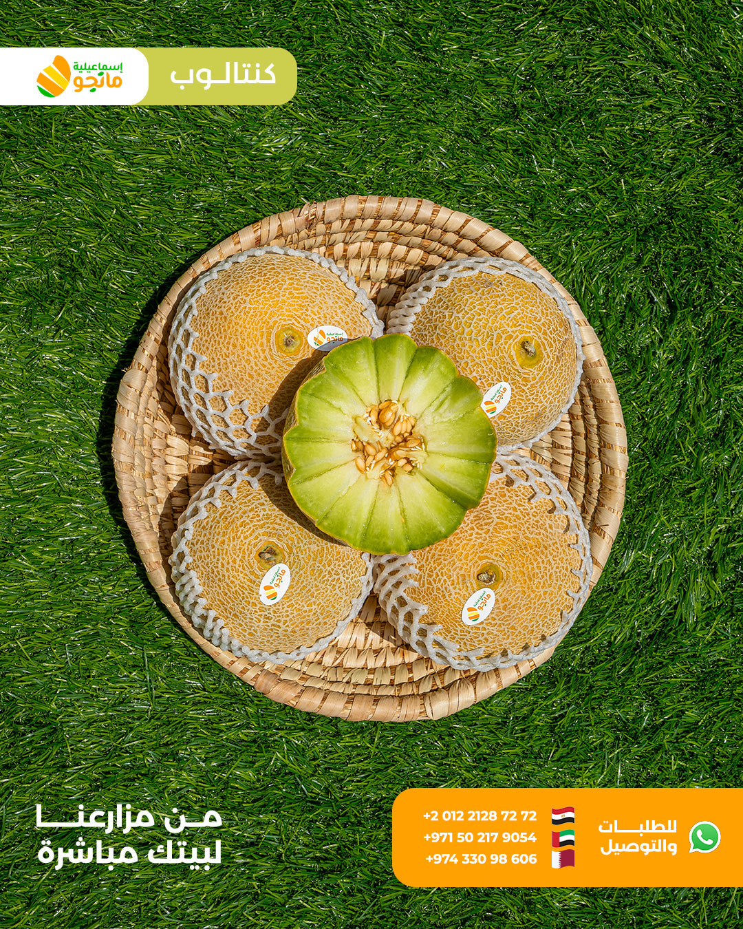 Cantaloupe