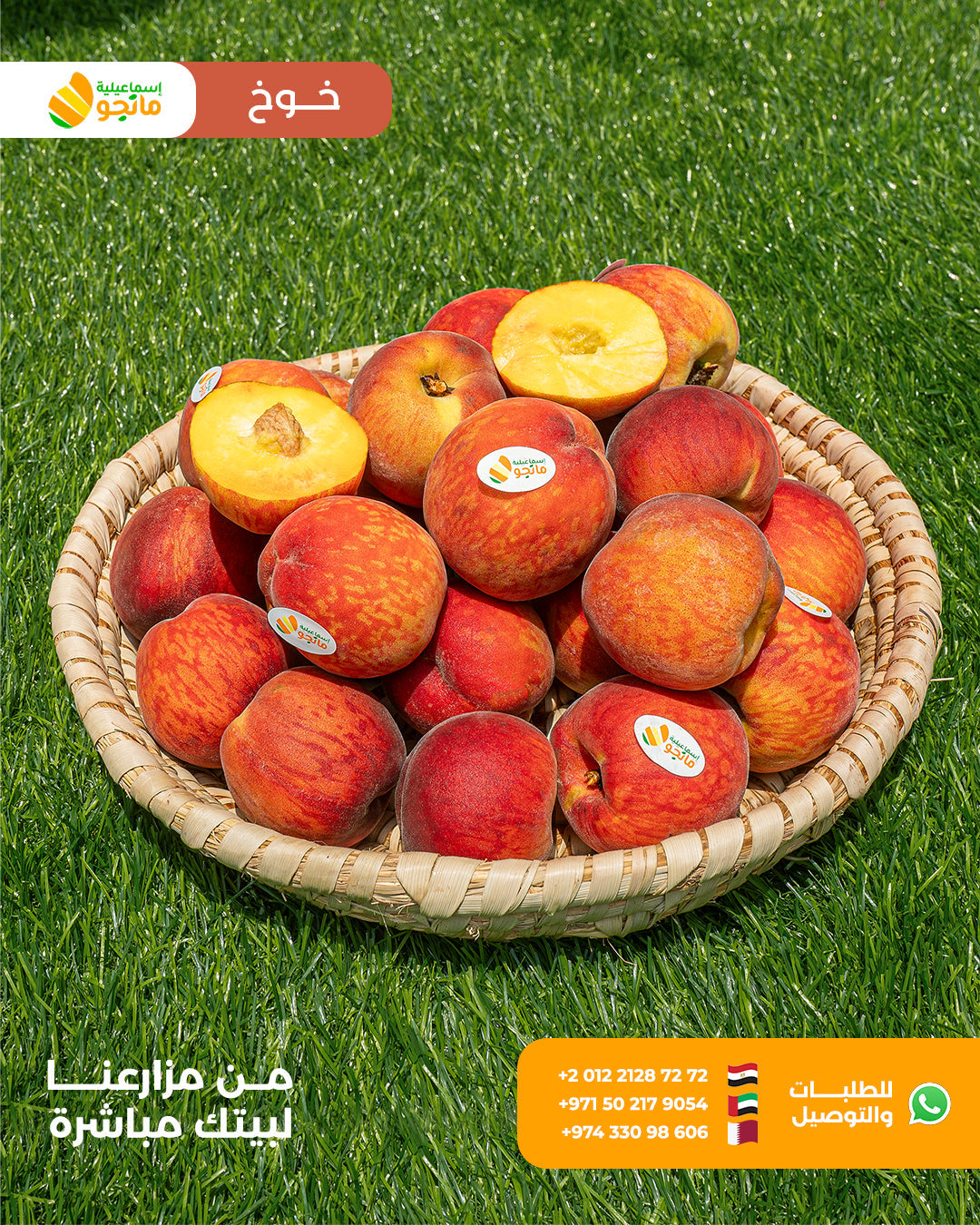 Baladi Peach