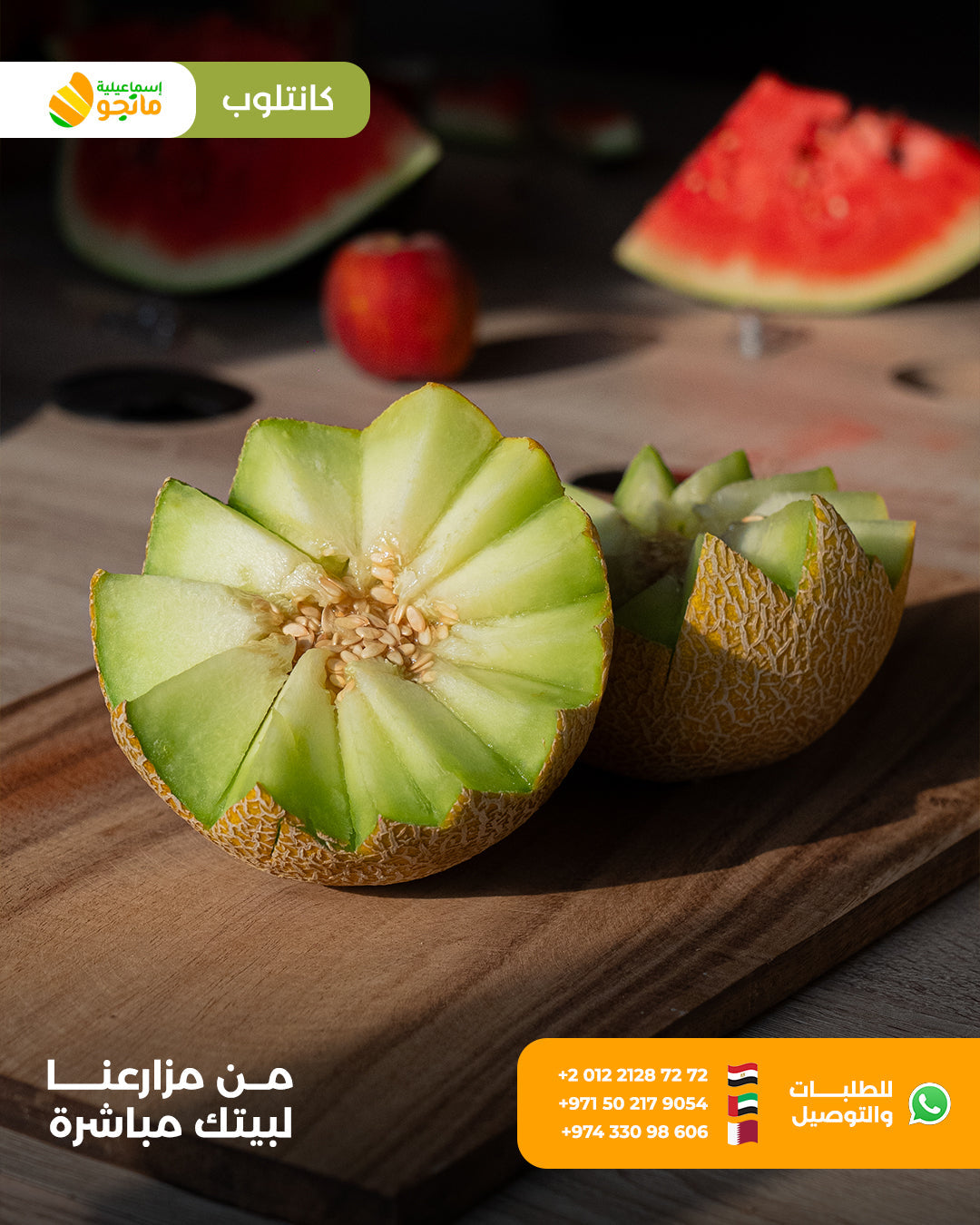 Cantaloupe