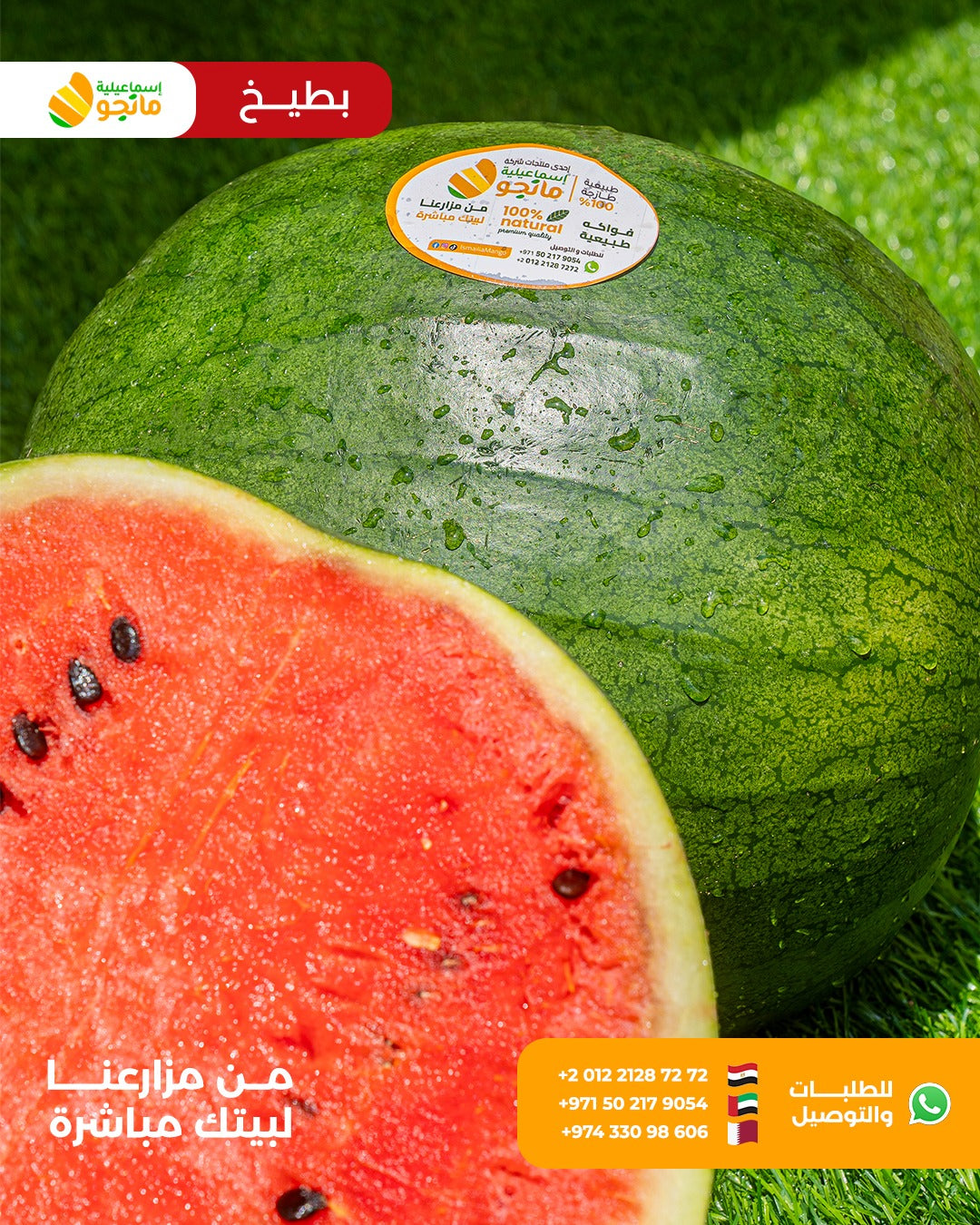 Giza Watermelon