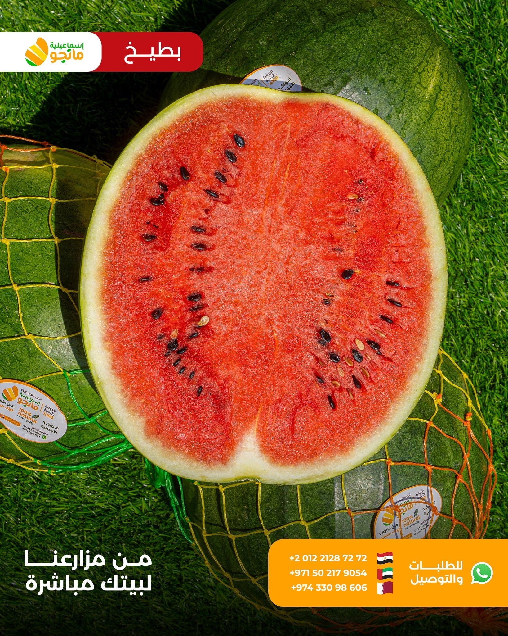 Giza Watermelon