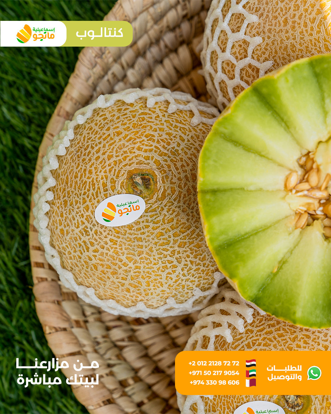 Cantaloupe