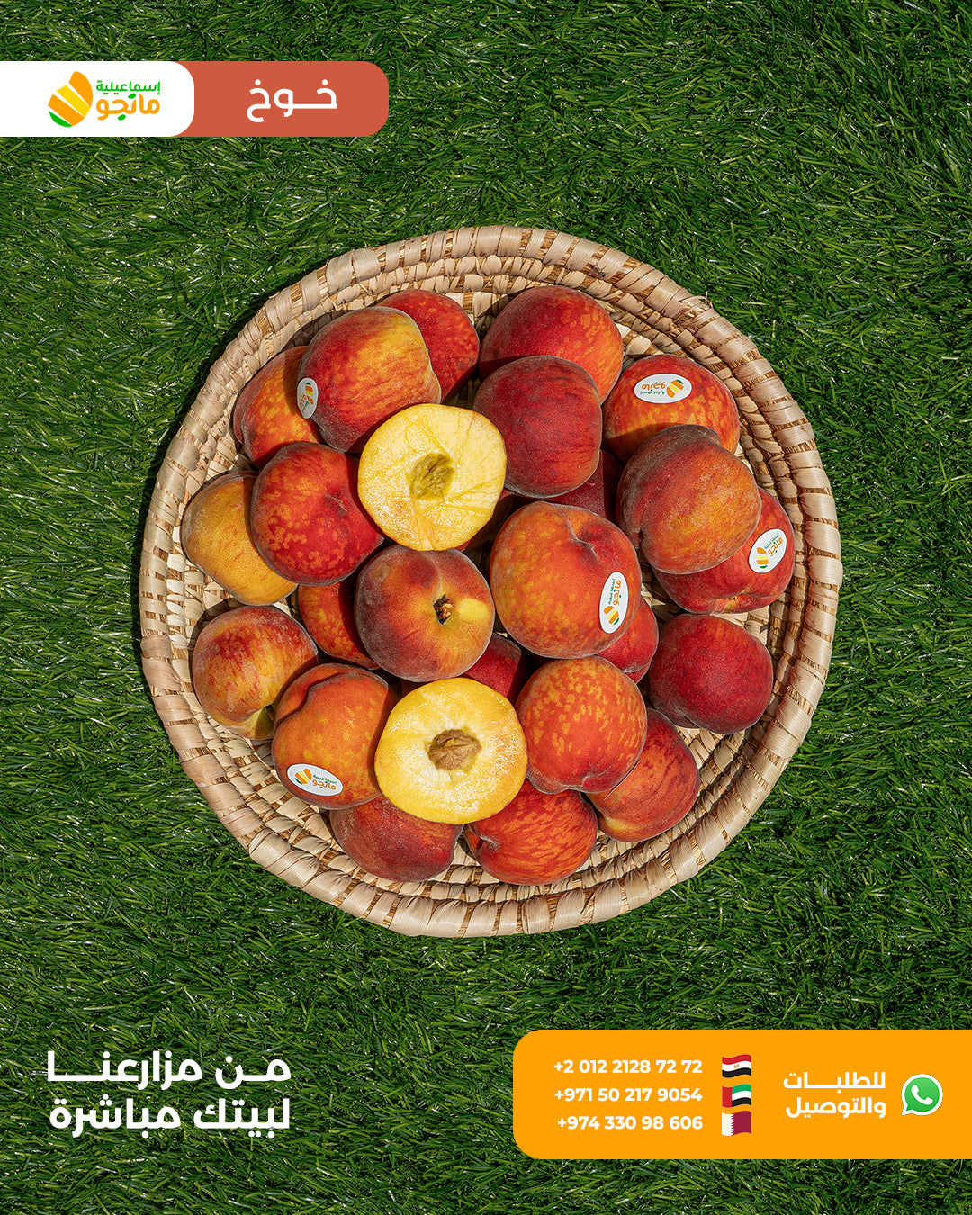 Baladi Peach