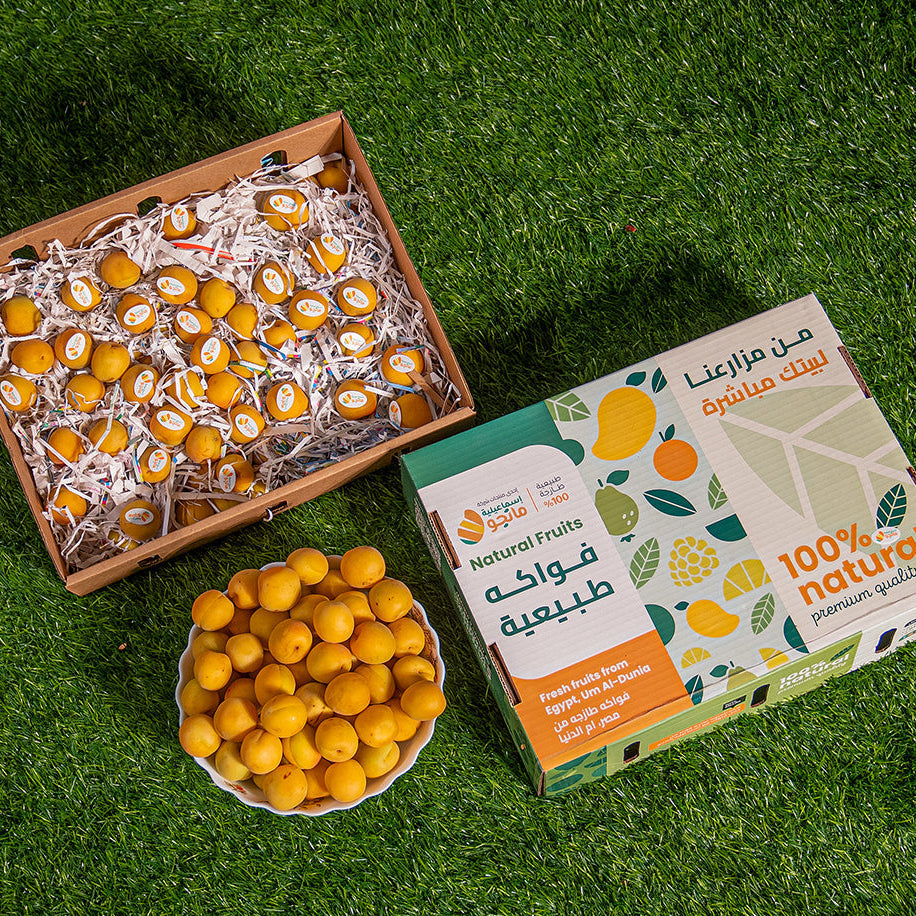 Ammar Apricot
