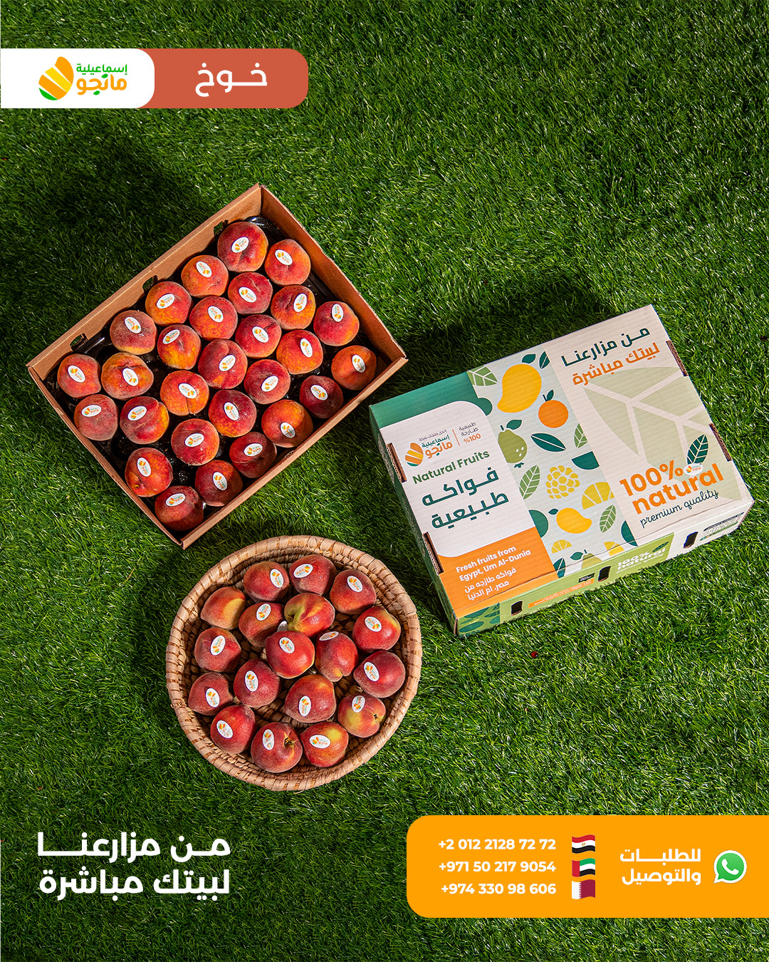 Baladi Peach