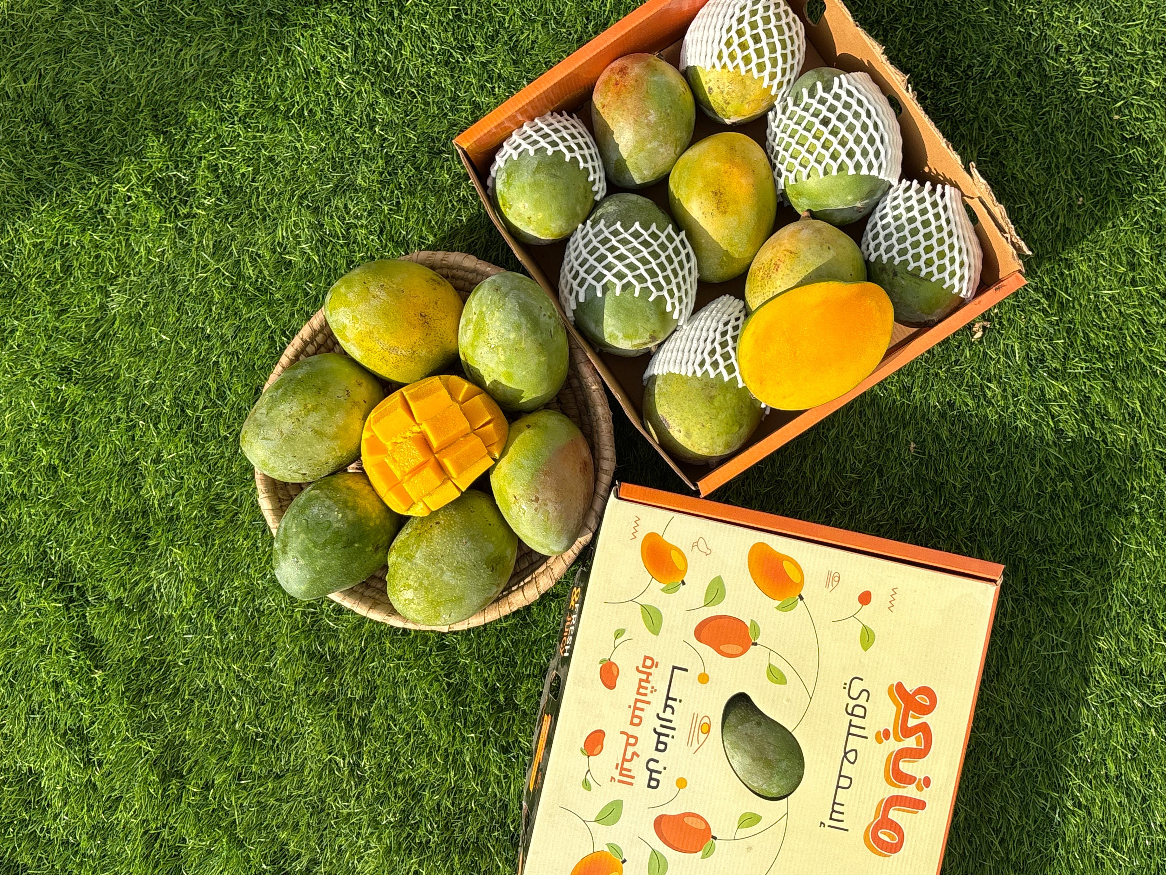 Ismailia Mango Qatar