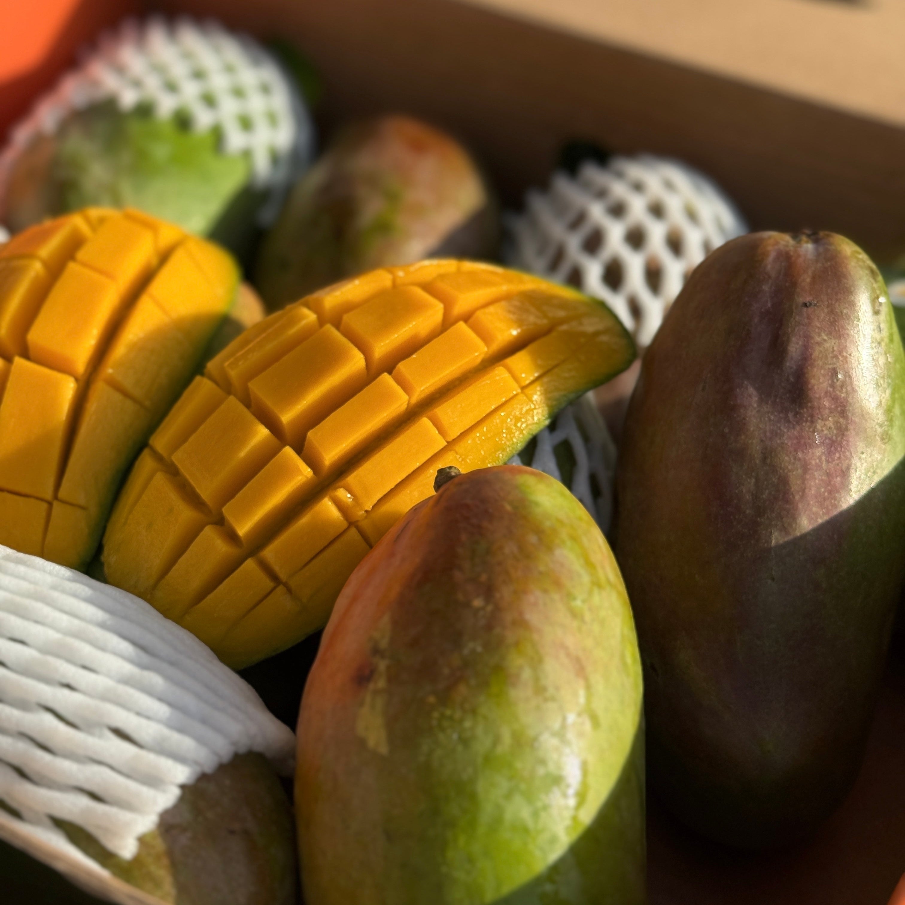 Mango Sediqa