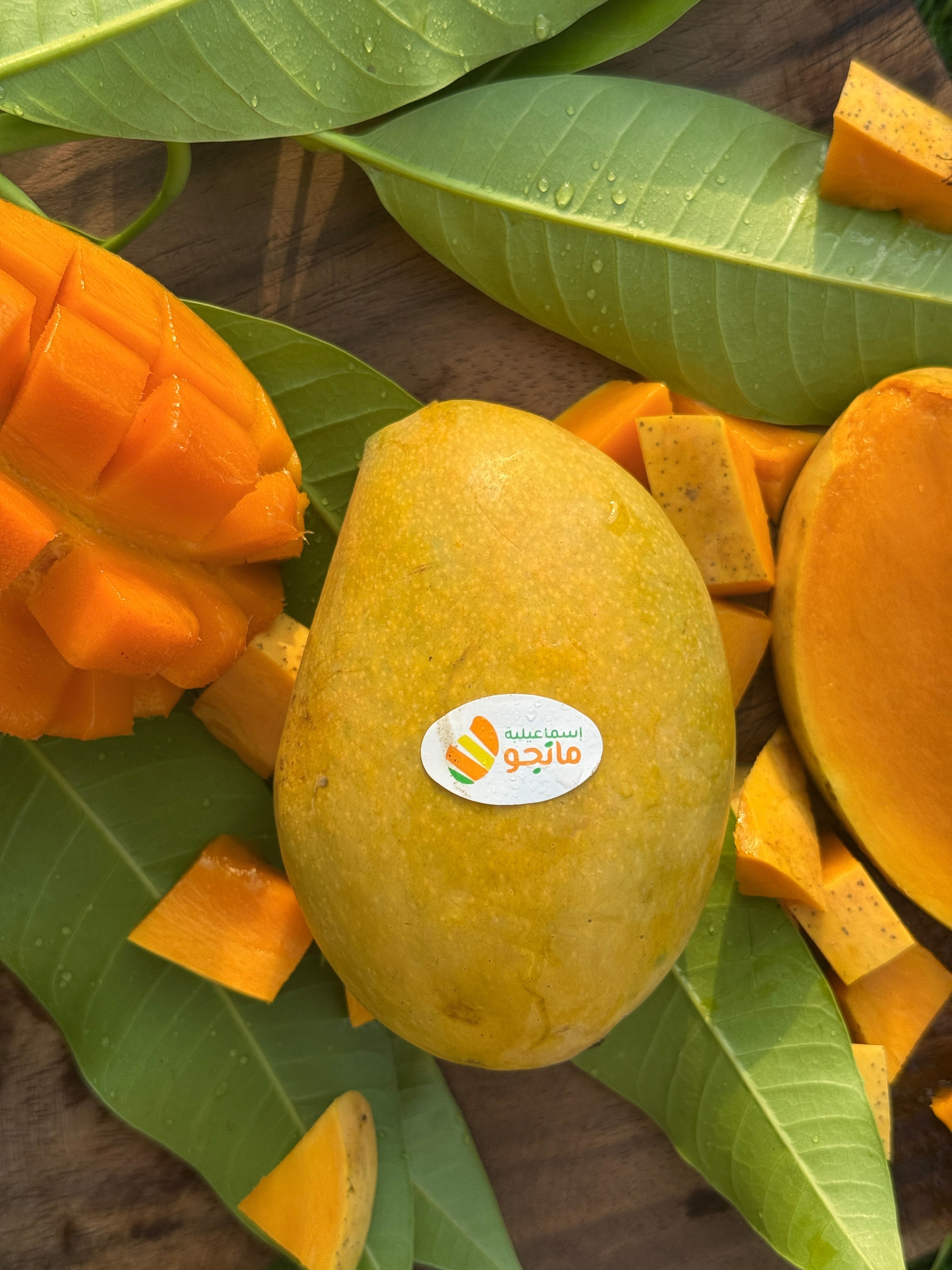 Mango Owais