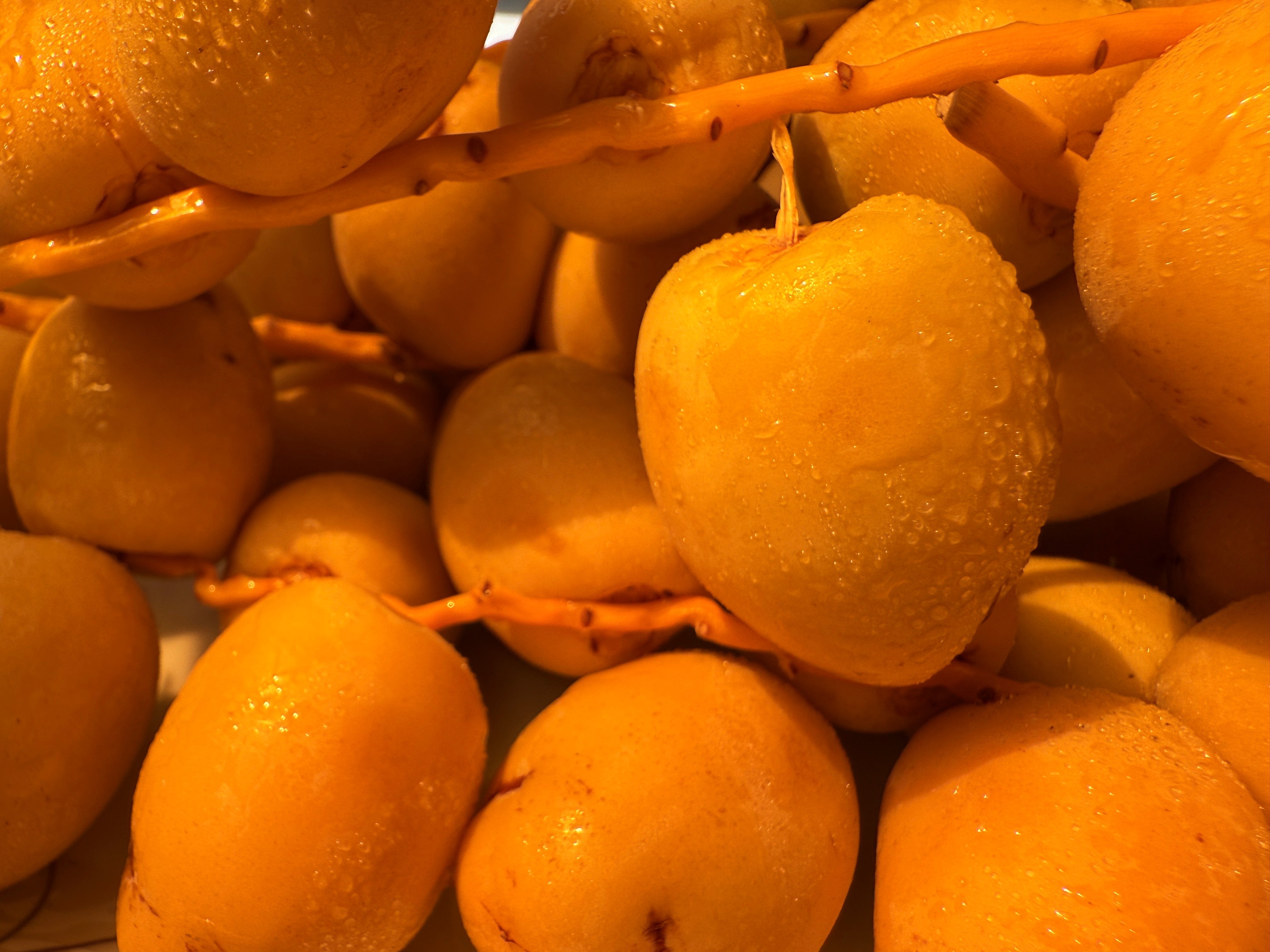 Dates Barhi