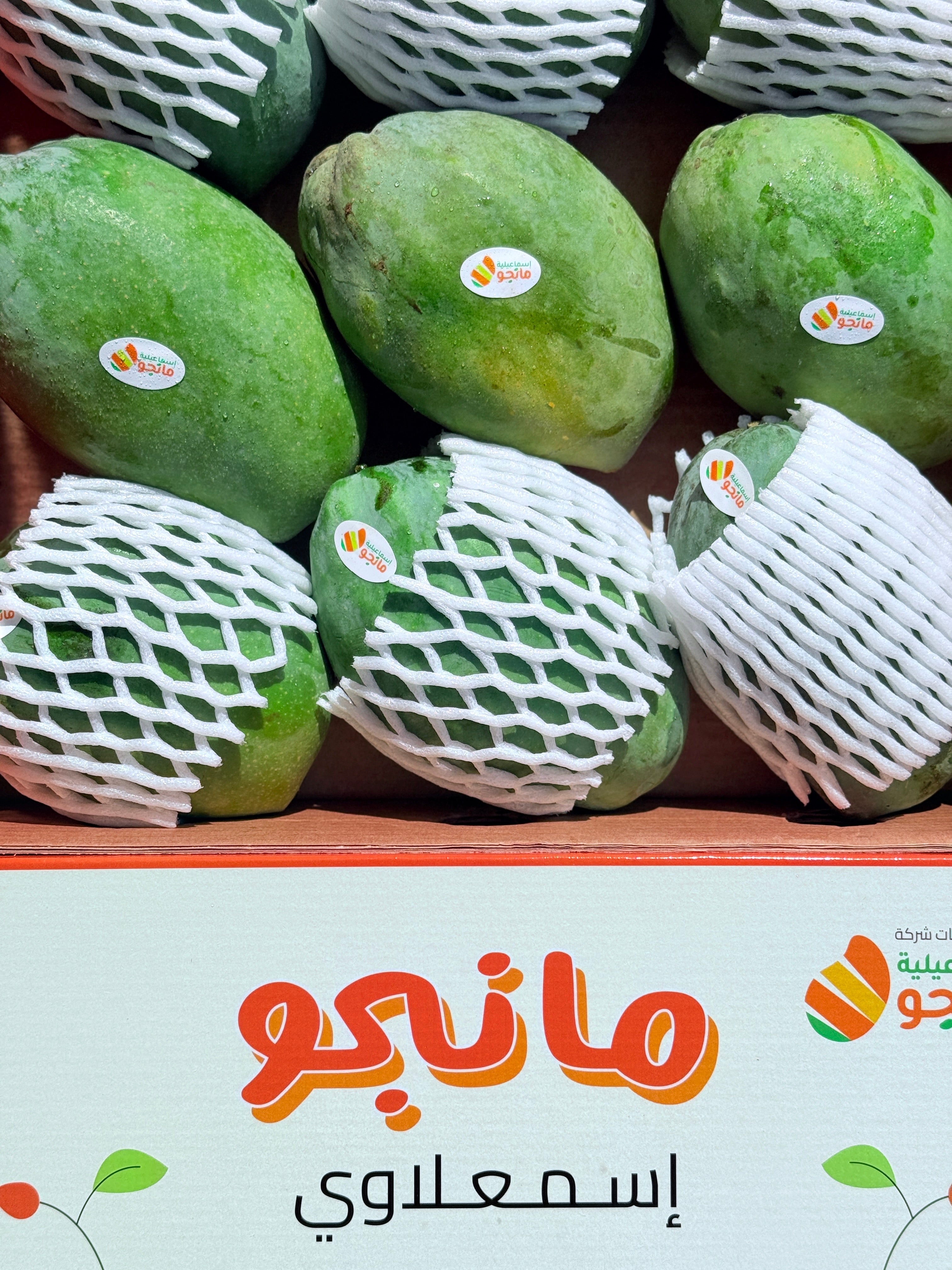 Mango Zebda