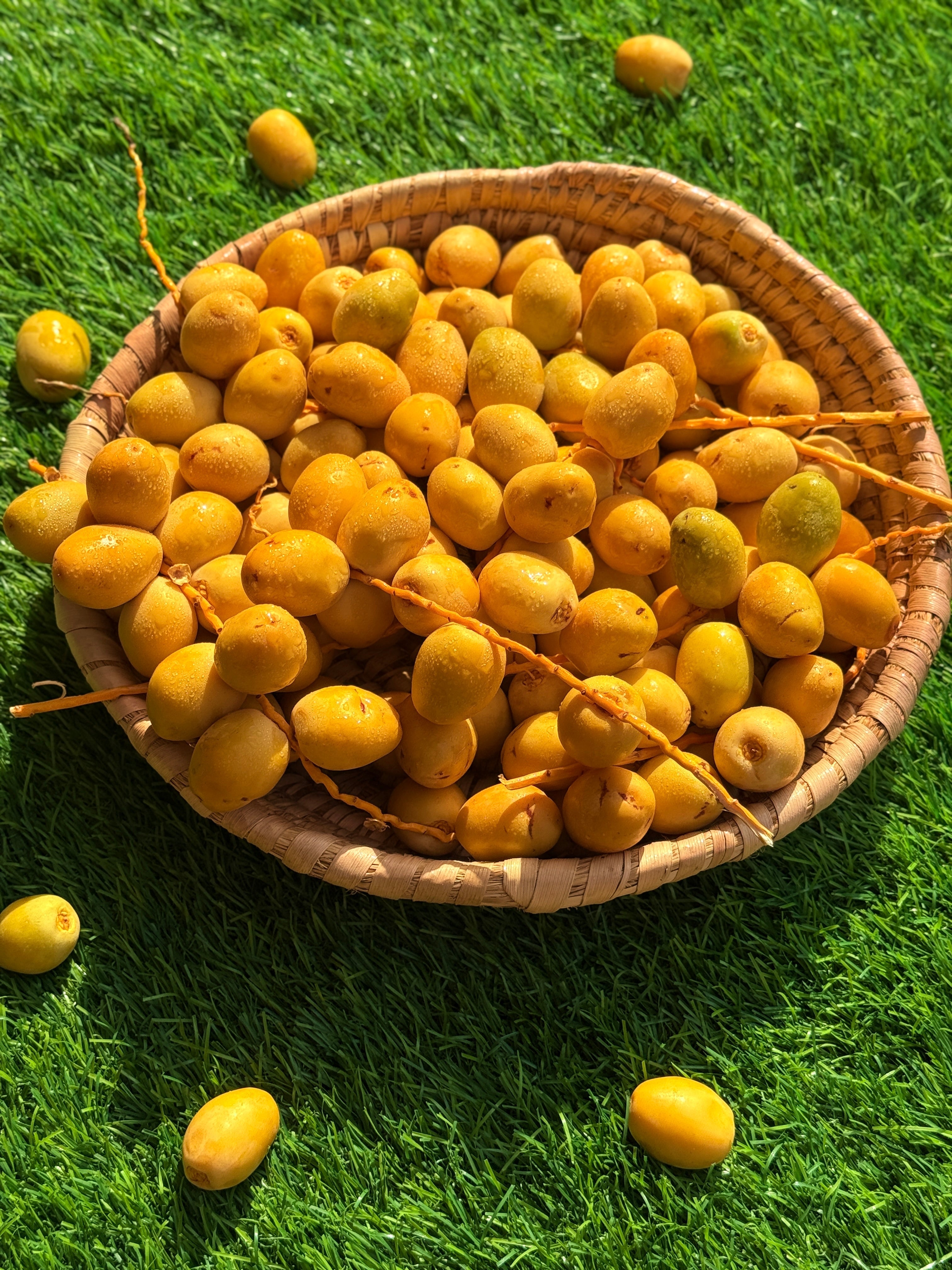 Dates Barhi