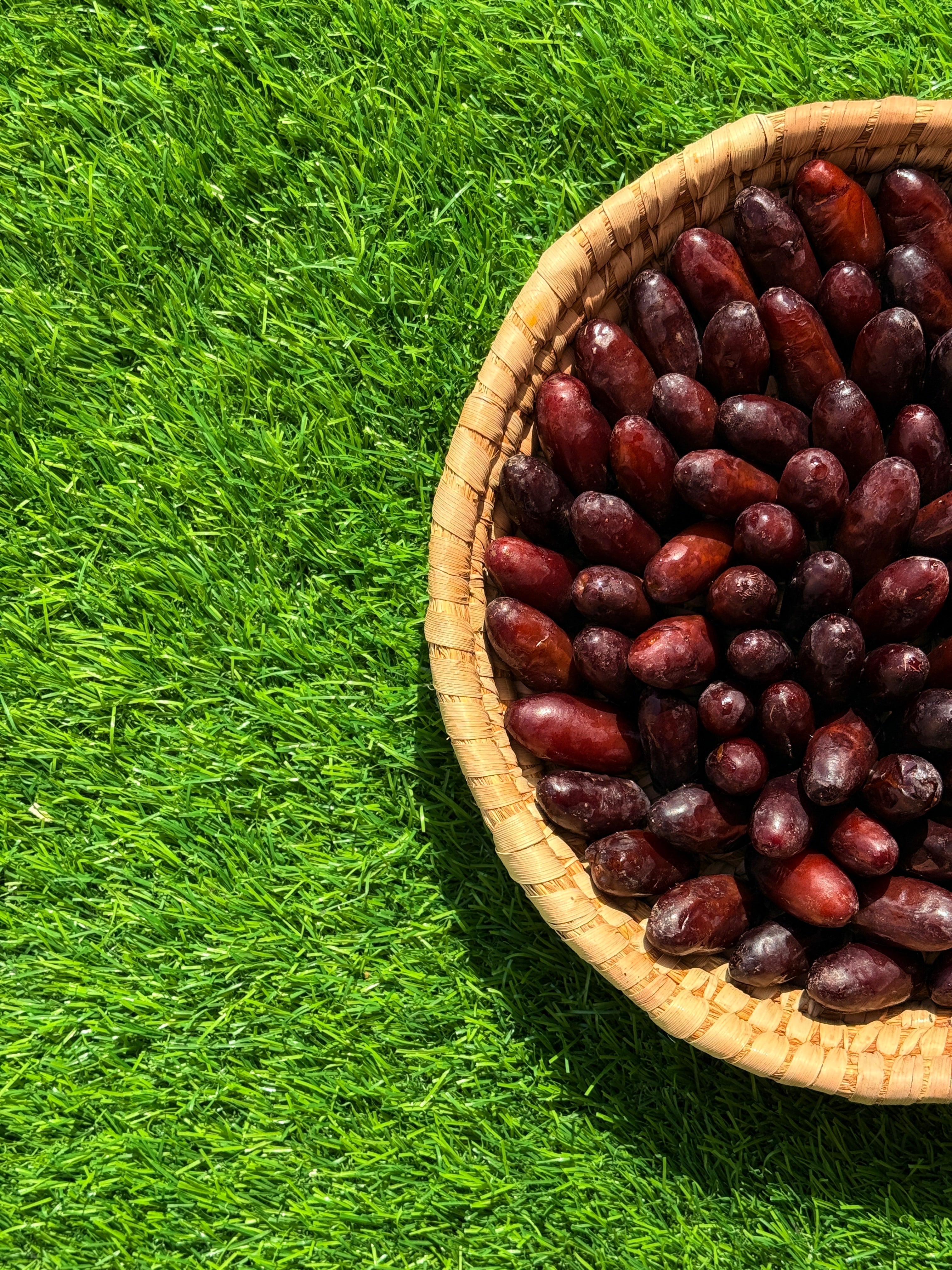 Dates Rutab