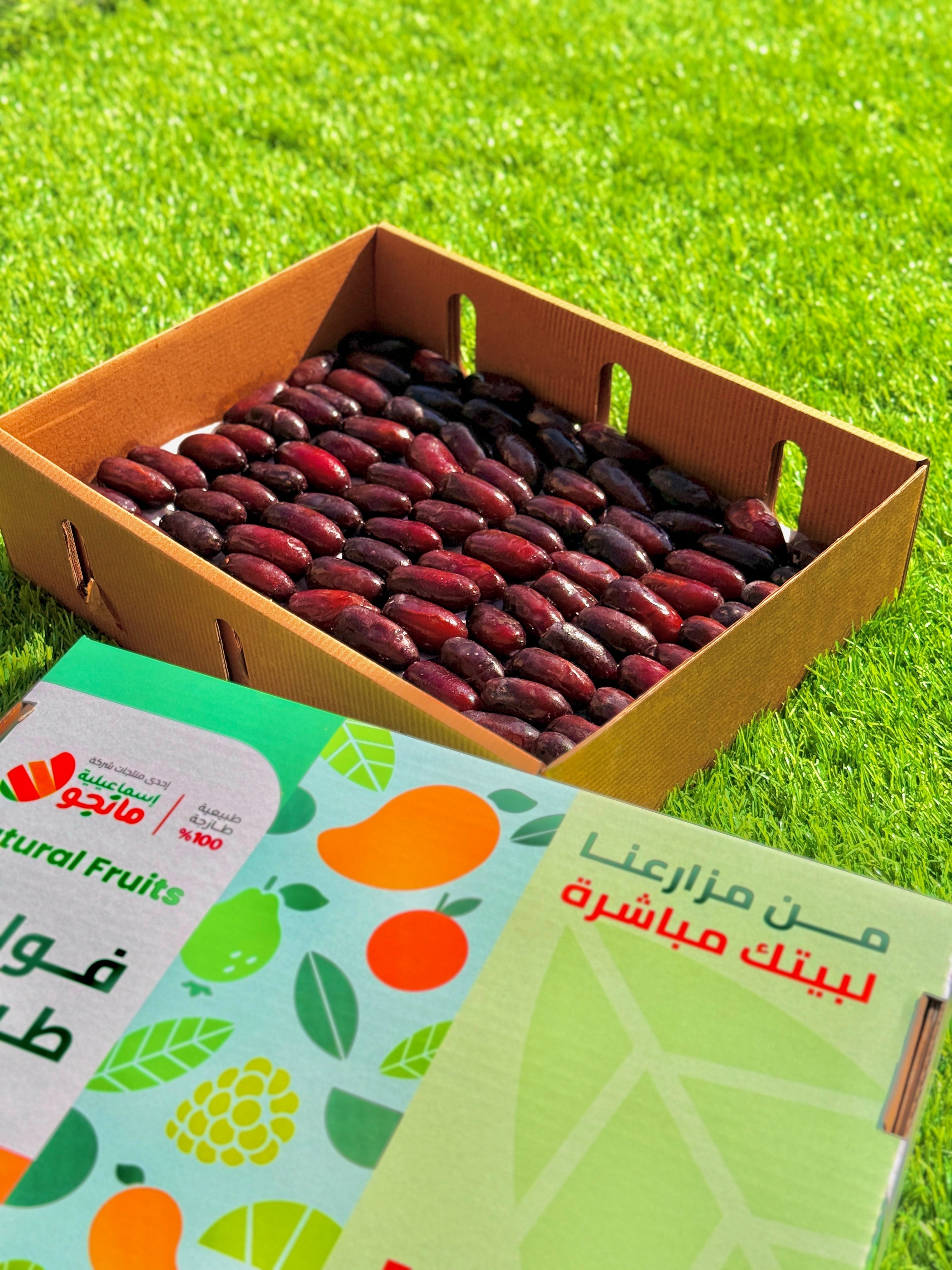 Dates Rutab