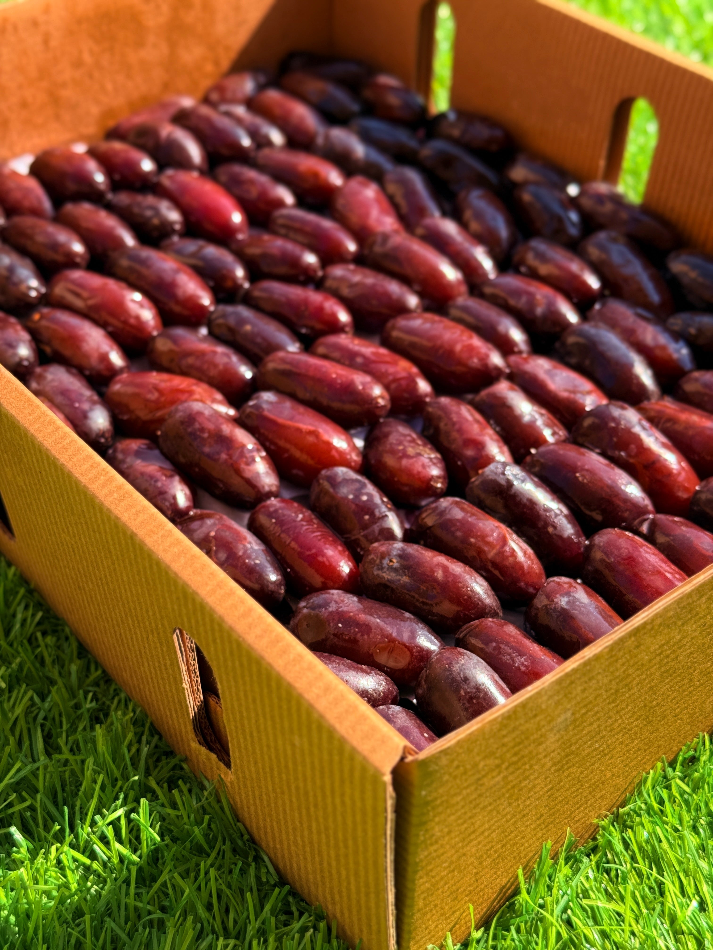 Dates Rutab