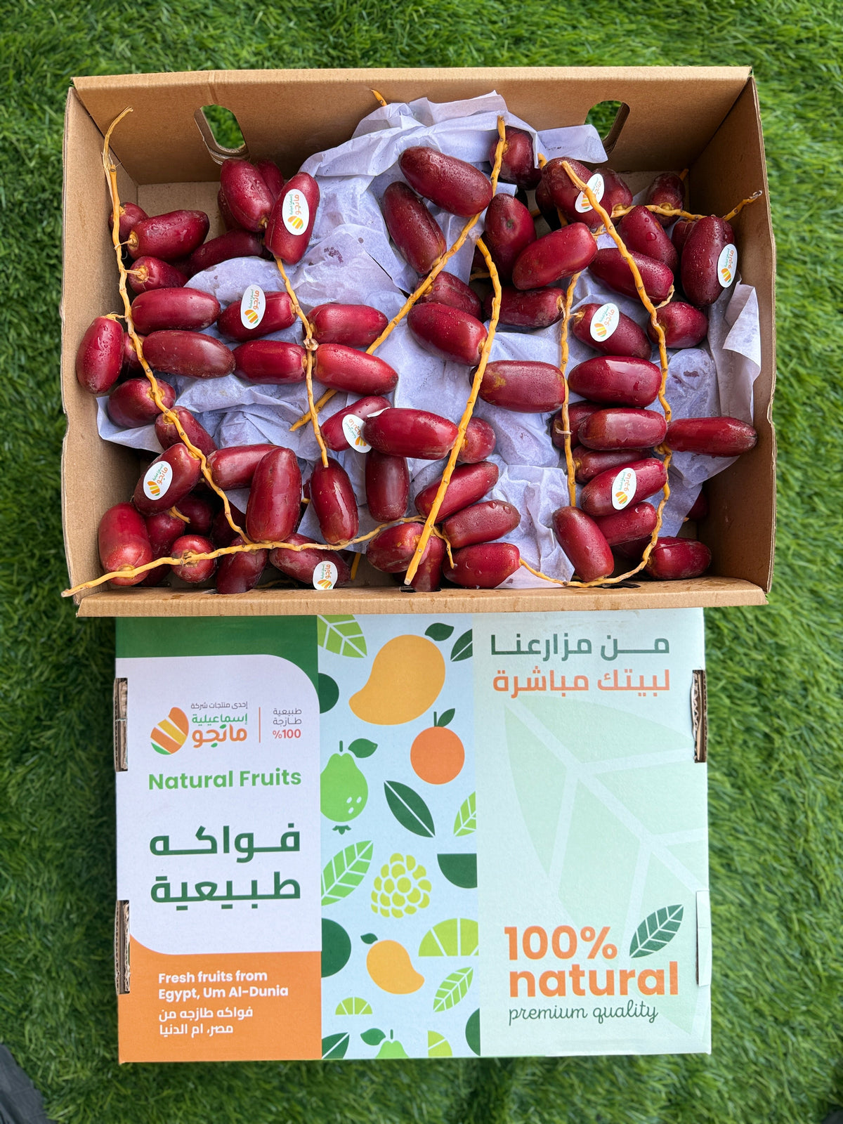 Dates Zaghloul