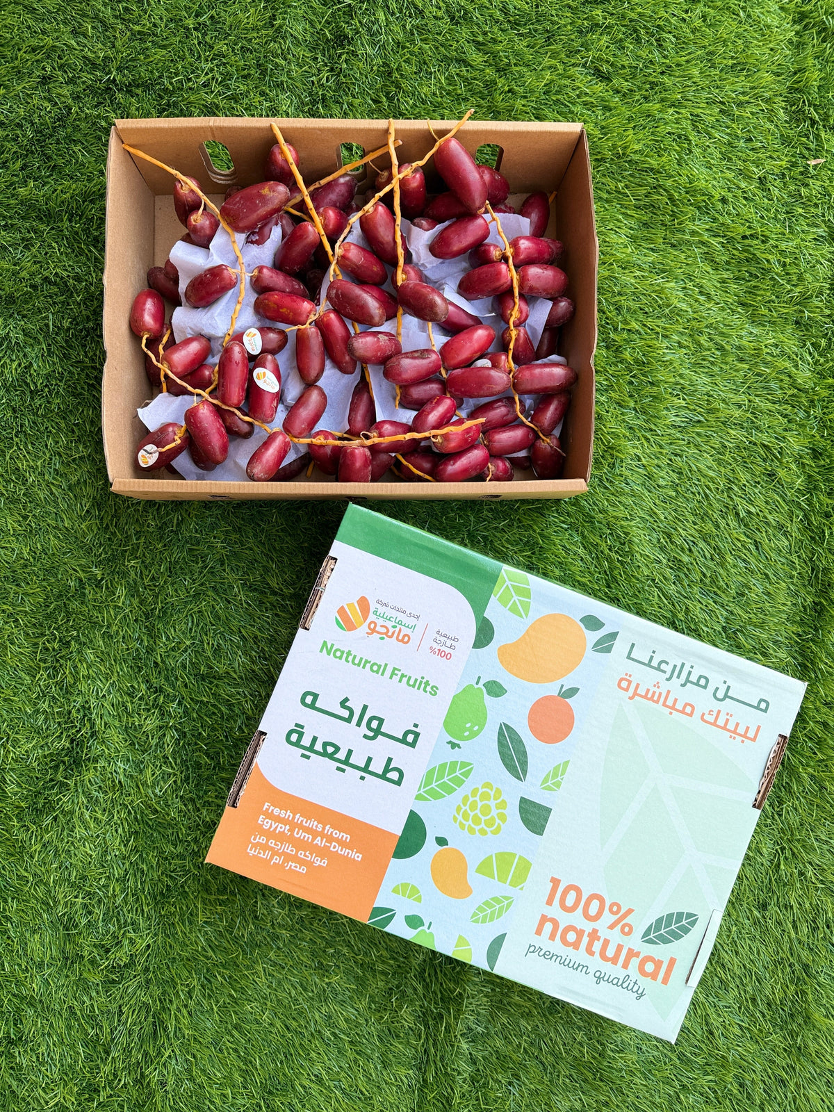 Dates Zaghloul