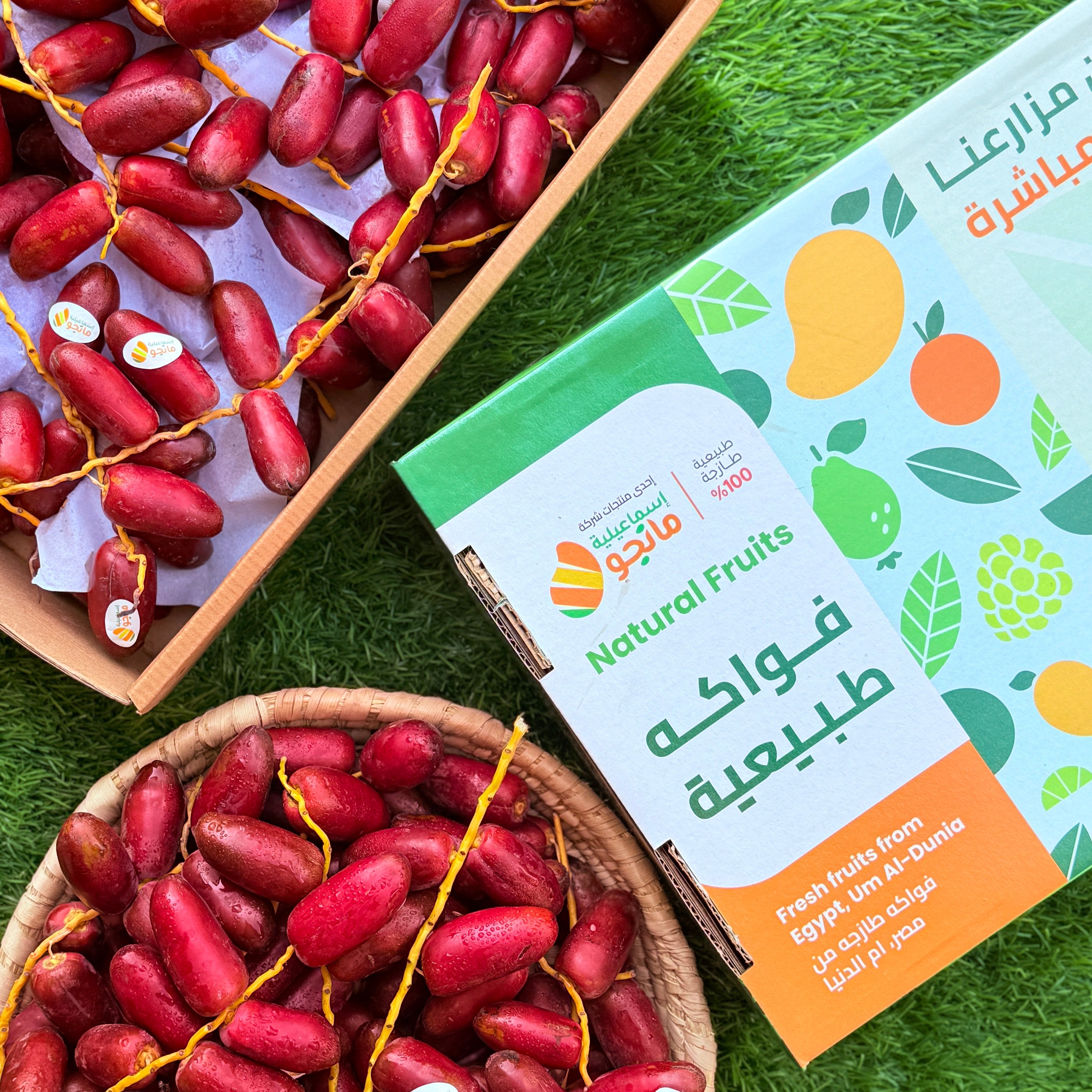 Zaghloul Dates