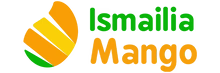Ismailia Mango Qatar