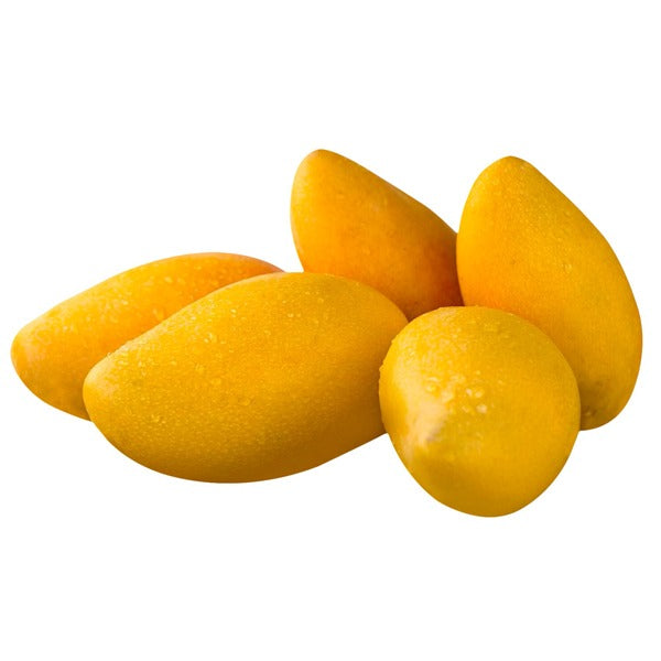 Timour Mango