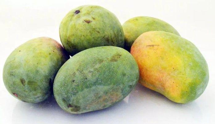 Mango Timour